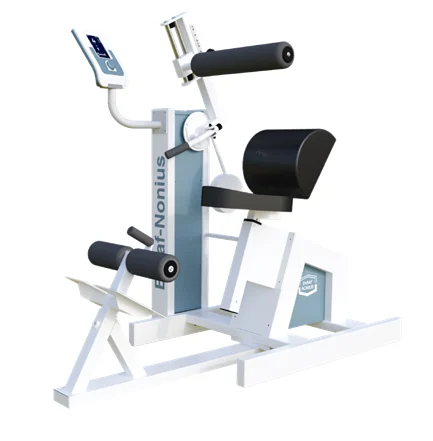 EN-Dynamic Back Trainer